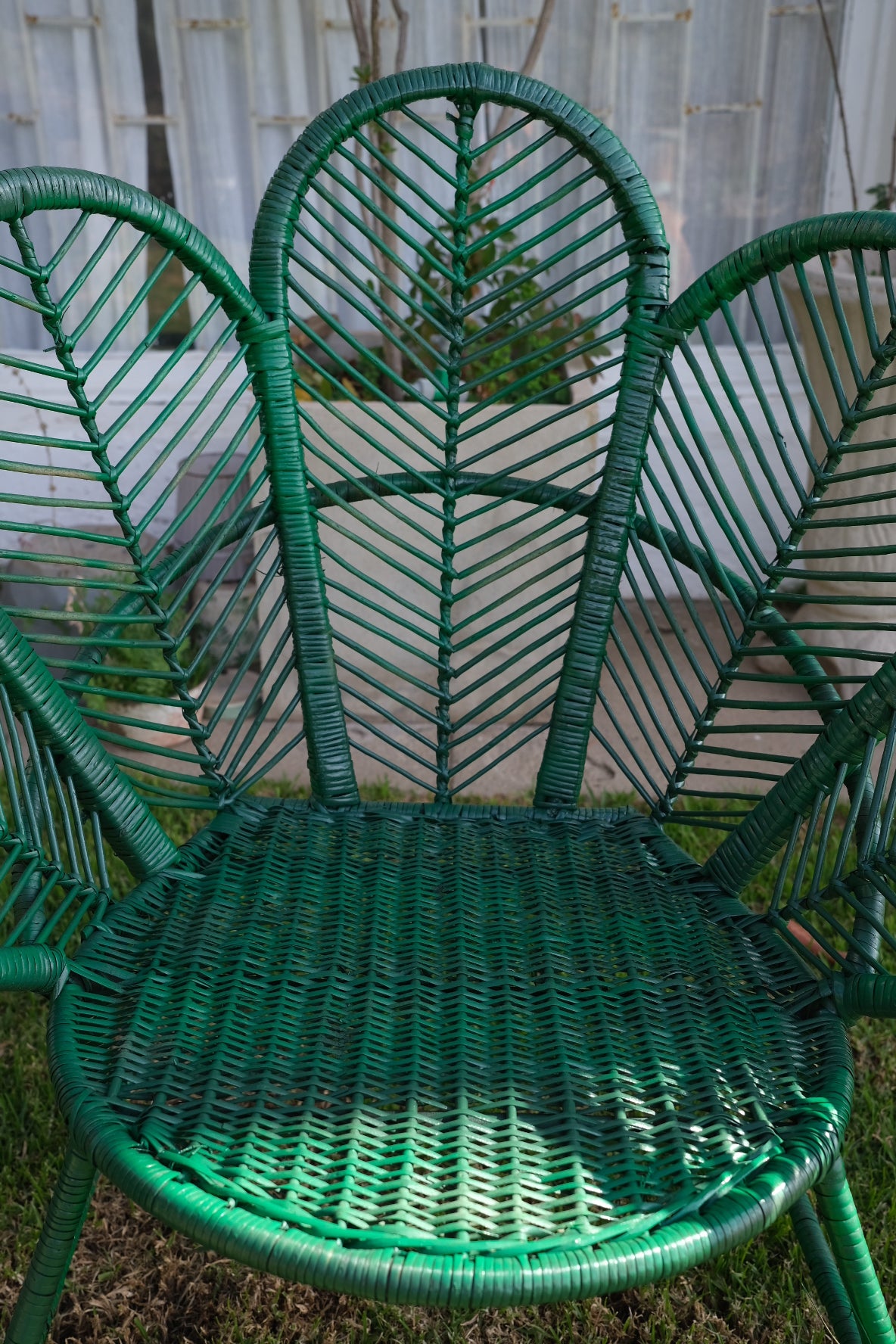 Silla mimbre flor verde
