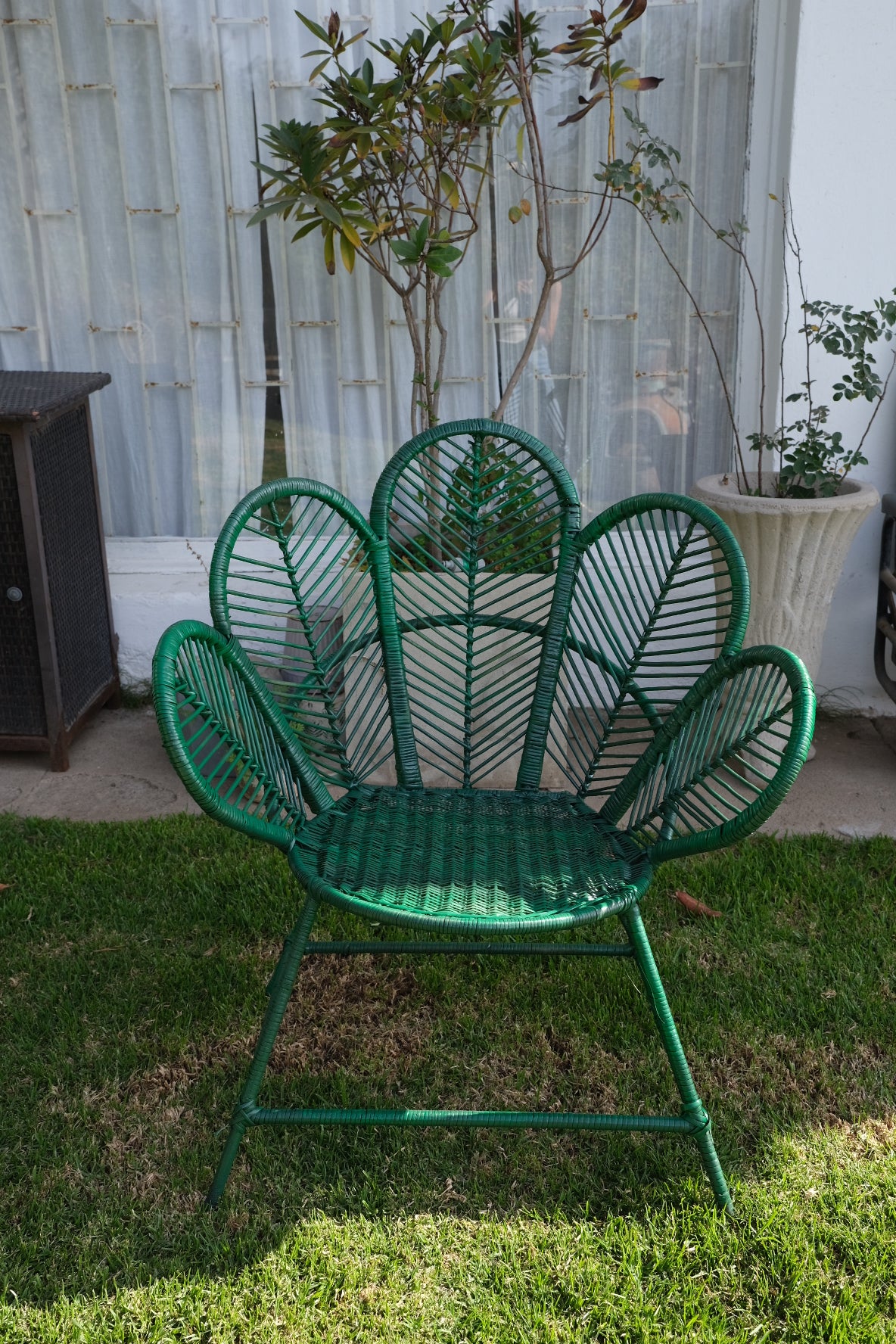 Silla mimbre flor verde