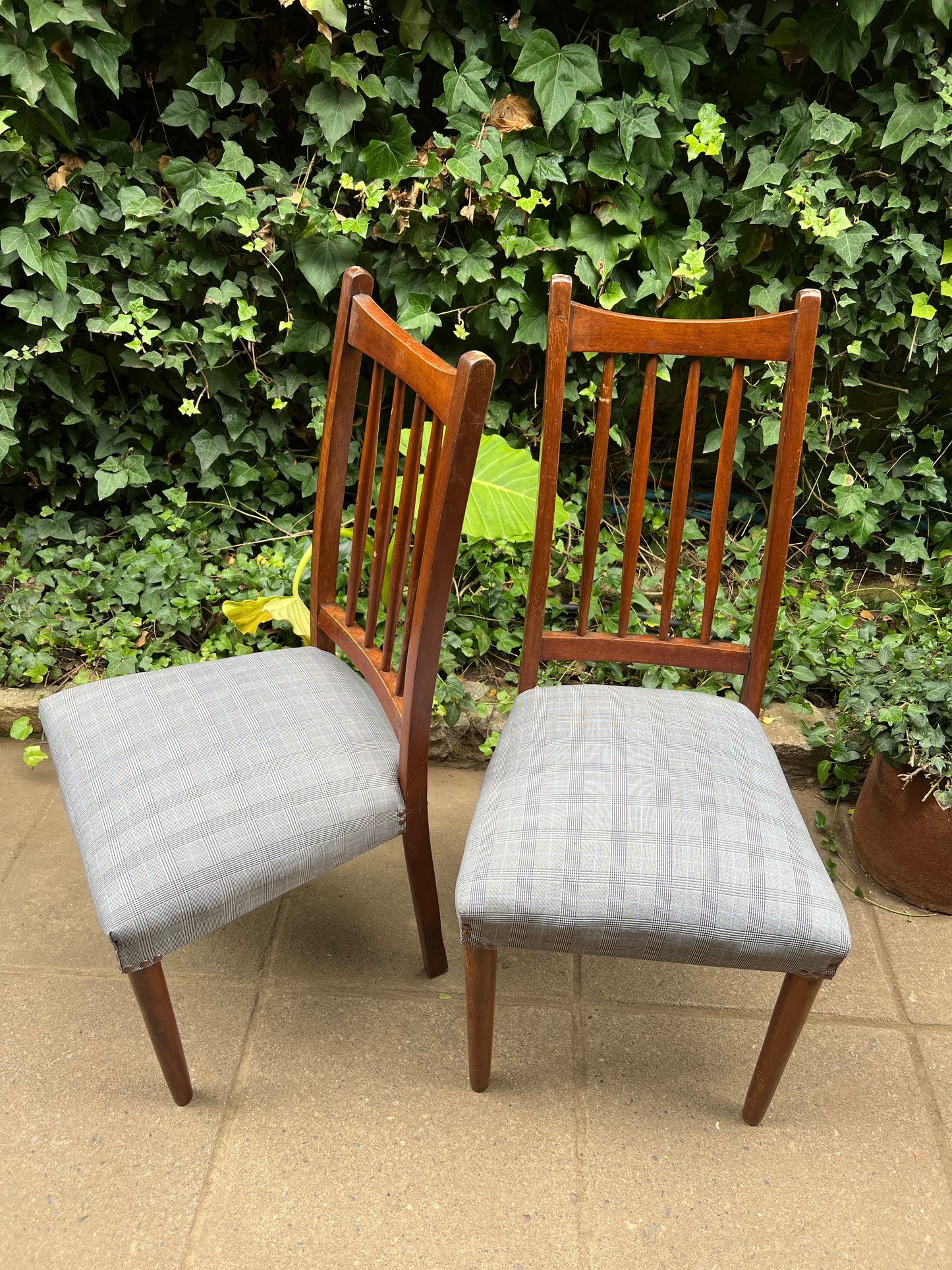 Sillas Retro Mid Century