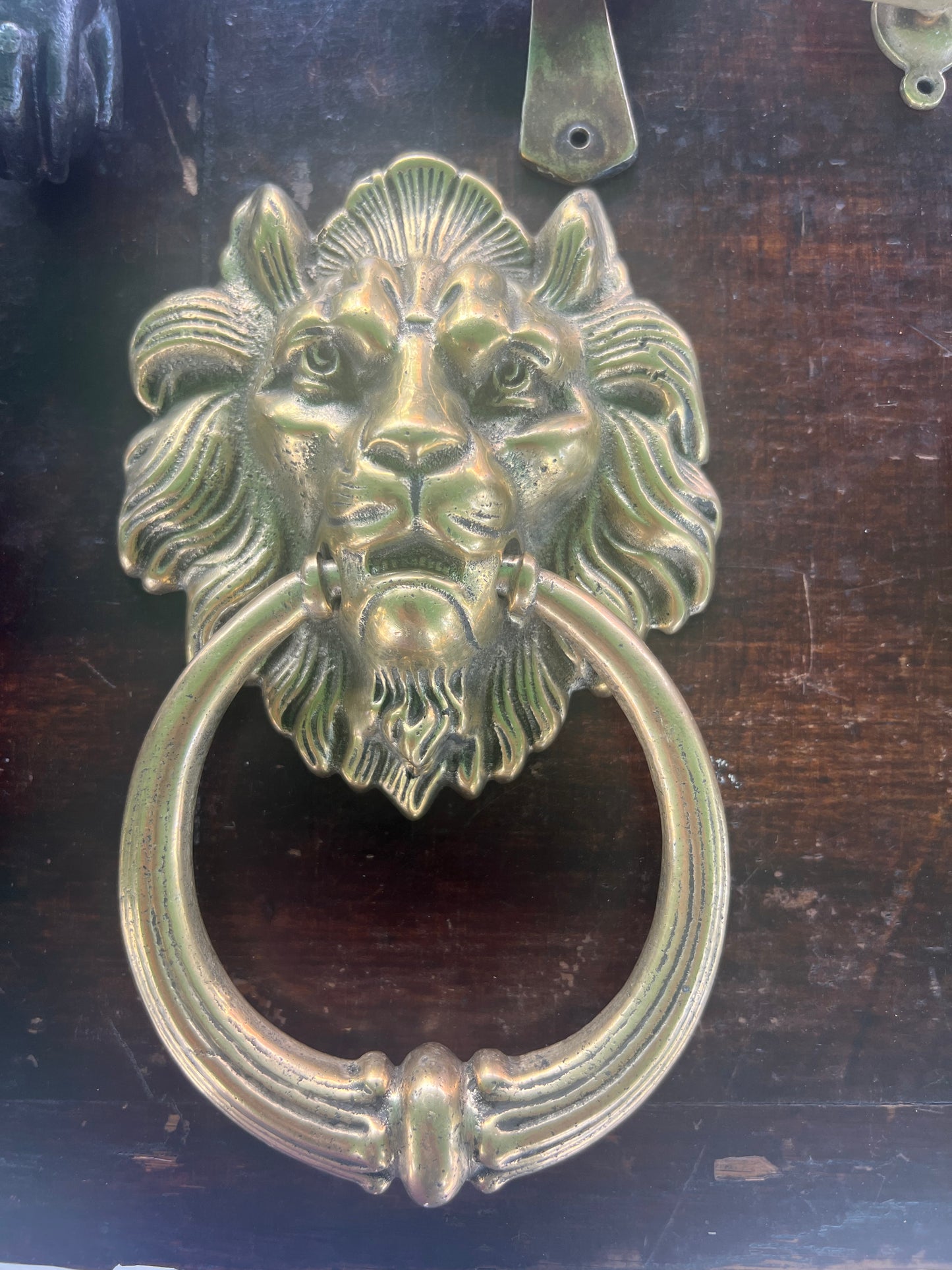 Aldaba de bronce forma de León